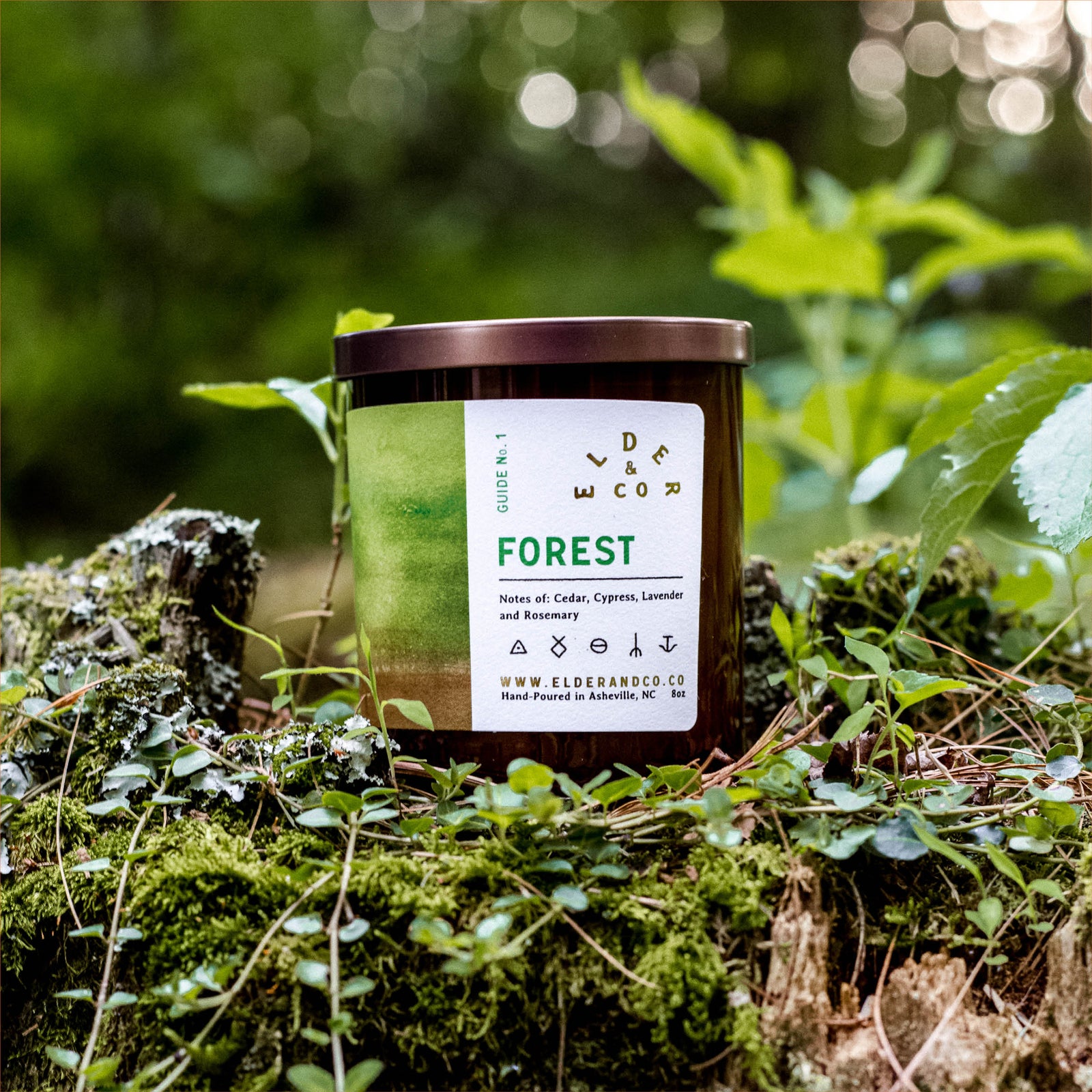 Guide No. 1: Forest 8oz Soy Wax Candle | Elder & Co.